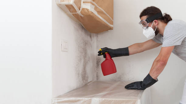 Professional Crawl Space Mold Remediation technician working in Higgins Lake, MI