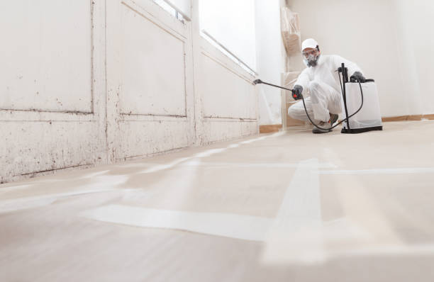 24/7 Emergency Crawl Space Mold Remediation experts in Higgins Lake, MI
